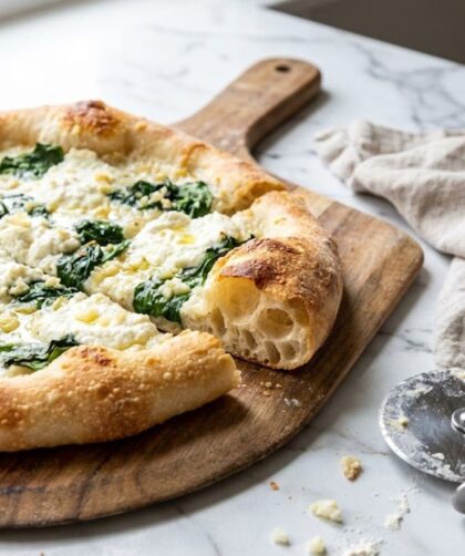 Alton Brown Pizza Dough Recipe